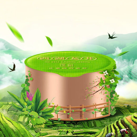 Chen Yifan Longjing tea tea green tea 2024 new tea Mingqian special grade Longjing tea Mingqian special grade Longjing gift box 100g gift bag