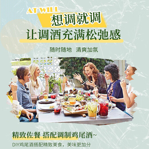 Paiston foreign liquor whiskey brandy rum gin vodka blending blending base liquor tipsy mixology five advanced combination pack