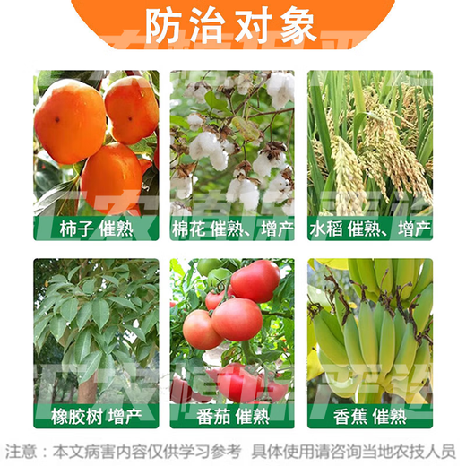 Guoguang 40% ethephon ripening agent tomato cotton persimmon rice banana mango rubber tree ripening and yield increasing regulator 100g*1