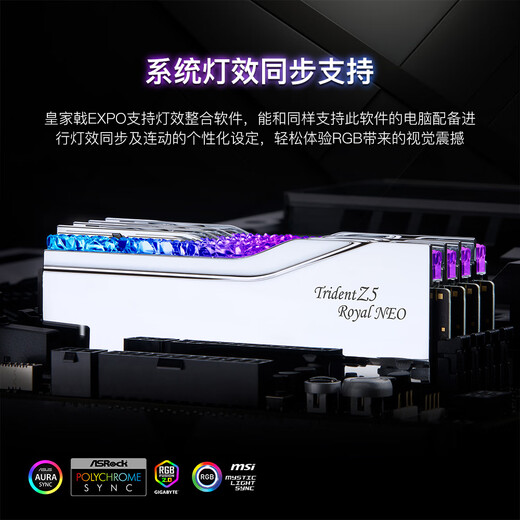 G.SKILL (G.SKILL) 32GB (16Gx2) set DDR5 6000 frequency desktop memory stick-Royal Halberd EXPO version RGB light strip-Silver/C28