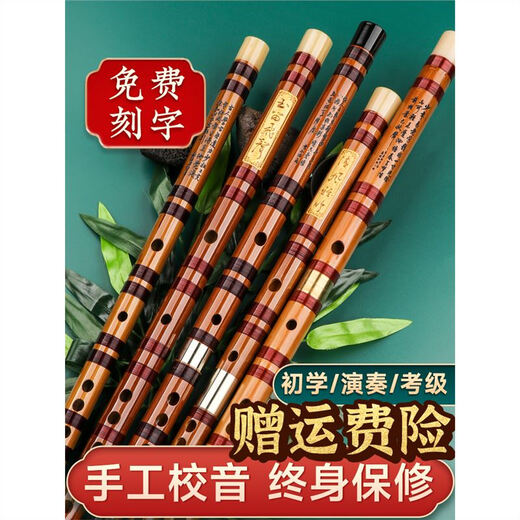 PTNOKA竹笛初学笛子者横笛乐器长笛儿童专业成人演奏小学生入门专用 E调【单管】初学【音色清雅】