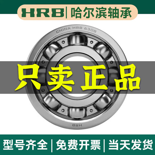 HRB Harbin Bearing 6200 6201 6202 6203 6204 6205 6206 ZZ Z 2RS 2RZ 6204-2RZ rubber cover
