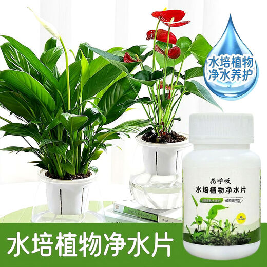Fresh flowers, rich bamboo nutrient solution, hydroponic plant water purification tablets, disinfection tablets, flower shop purification water quality, hydroponic plant water purification tablets*5 bottles