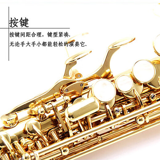Golden Tone Tortune Saxophone B-flat B-key Beginner Practice Professional Grade Examination Performance Band Straight Wind Instrument JYSS-2000