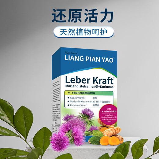 德国进口品质 水飞蓟奶蓟草护姜黄素肝片 修女熬夜加班喝酒应酬 【现货修女同款护肝片】30片*1盒