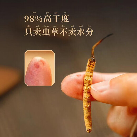 
Cordyceps sinensis, high-altitude cordyceps dry goods in Tibetan areas, nourishing gift box, 2 sticks per gram, 20 sticks gift box