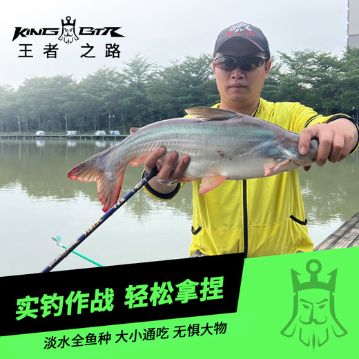 Benting 718 Crucian Carp Super Leichtgewicht Crucian Carp Rod Kleine Comprehensive Fishing Stabhandschuhfischereisenhandschuh Marke Ultra fein und hart 2,7 m King-Btr 718cr Kreuzkunstwagen