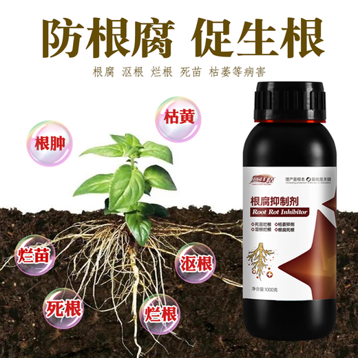 Tianyuan Fengqing root rot inhibitor damping-off rotten root rotten seedlings rapid root strengthening purification soil disease resistance 1000g 3 bottles of root rot inhibitor