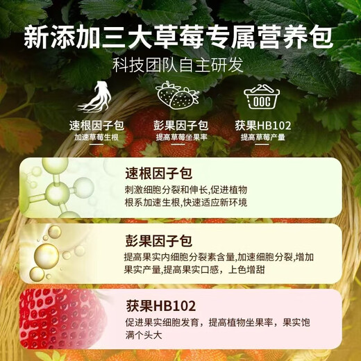 Strawberry special nutrient soil strawberry organic fertilizer special soil strawberry seedlings potted balcony planting soil strawberry special nutrient soil 10Jin Jin is equal to 0.5 kg