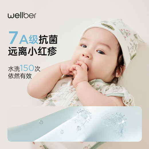 WELLBER (WELLBER) Newborn baby anti-shock sleeping bag surrender baby 0-6 months package anti-kick quilt Lulin Xiaomenghu L