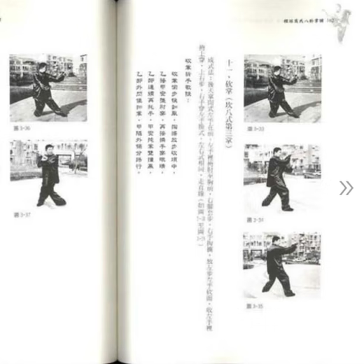正版程派高式八卦掌谱(上下册)2010重修版 高义盛遗著 页数724