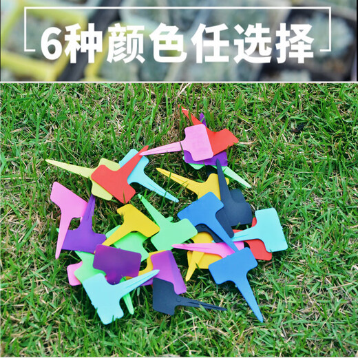 Gardening succulent label gardening plant flower name flower pot plastic label waterproof small insert succulent pot light blue 100 sheets free waterproof pen