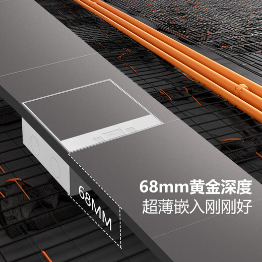 公牛（BULL）开关插座双五孔十孔地插座不锈钢纯平隐藏式地插超薄款GD7Z256S