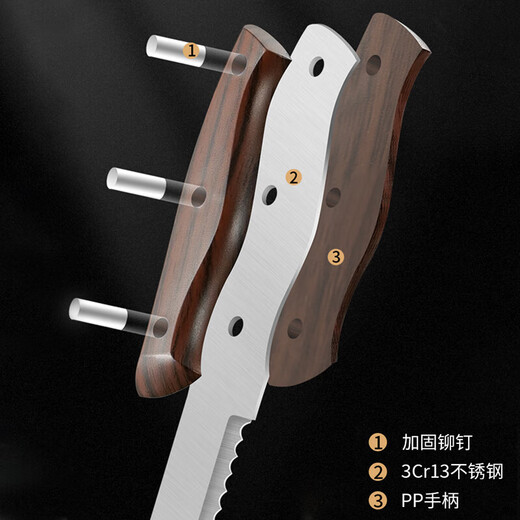 拜格（BAYCO）家用面包刀锯齿刀烘焙工具厨房不锈钢切吐司不掉渣刀具BD2801