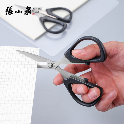 Zhang Xiaoquan Zhang Xiaoquan Schere Haushalt kleine Schere spitze Schere Büro Schreibwaren multifunktionale Edelstahl leistungsstarke Gartenarbeit Blumenkunst SSN-125