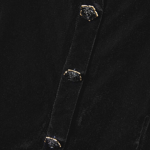 She pool V-neck single-breasted velvet shirt women's 2025 autumn new retro elegant long-sleeved shirt