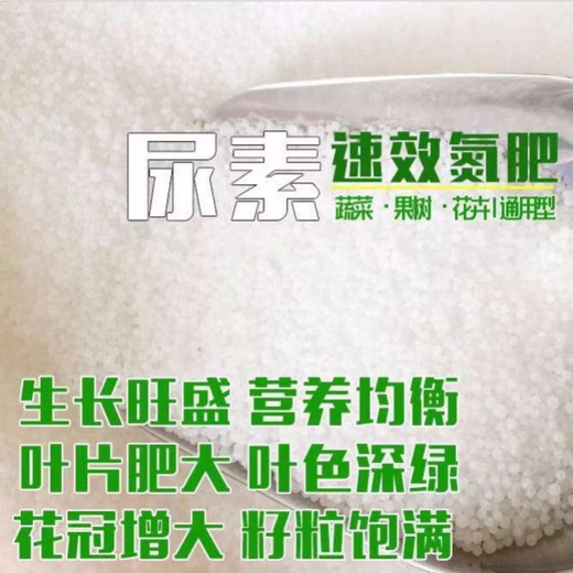 Universal urea nitrogen fertilizer for flower and vegetable fertilizers, organic fertilizers, nitrogen, phosphorus and potassium fertilizers, granular chemical fertilizers for vegetables, fruit trees and flowers, high-efficiency urea (instant) 3Jin Jin equal to 0.5kg