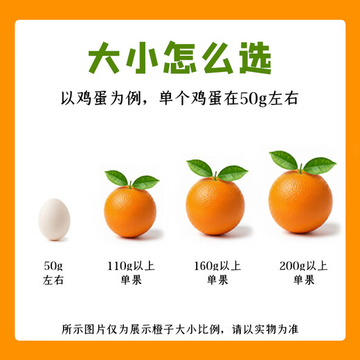 Orange navel Gannan, orange navel Gannan authentique, orange Jiangxi Ganzhou, orange pelée à la main, coffret cadeau de fruits frais, fraîchement cueillis en saison, 10 Jin Jin est égal à 0,5 kg, fruit unique sélectionné 110-160 g, poids net 9 Jin Jin est égal à 0,5 kg +