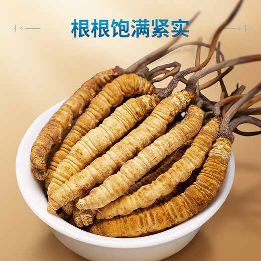 By the time of the Spring Festival, the official Cordyceps gift box gives good quality high-end gifts to parents and elders nutritional supplements [3 sticks/g 30 sticks-10 grams] nourishing health gift box for the elderly tonic