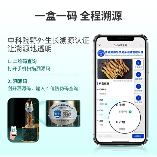 国坤堂【野生可溯源】野生冬虫夏草 西藏那曲新干虫草滋补礼品礼盒 5根/克 10克礼盒装+送同款3根