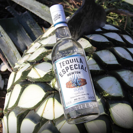 塔帅龙舌兰酒墨西哥原瓶进口特基拉龙舌兰酒洋酒调酒 塔帅银龙舌兰 750mL 1瓶
