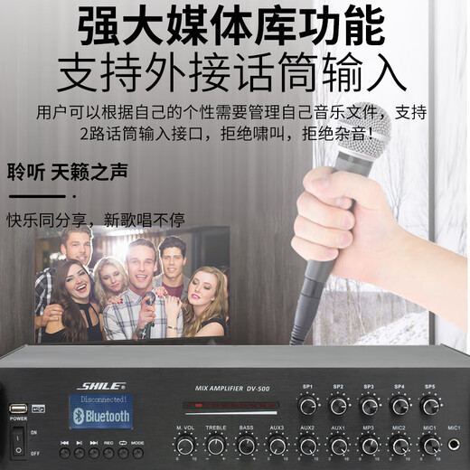 狮乐 （SHILE）DV-500 定压定阻功放机 公共广播吸顶喇叭音响蓝牙功放 五分区功率放大器额定功率500W
