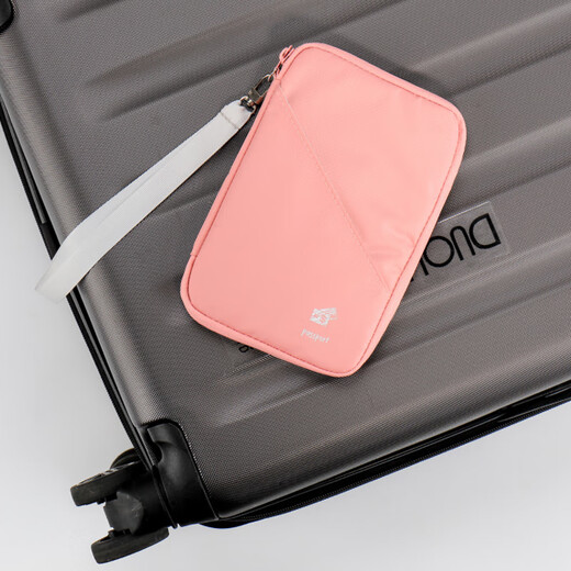 Passport -Aufbewahrungstasche Passport Clip Travel Passport Bag Passport Clip Großer tragbarer Reisebeutel Reisedokument Dokument Aufbewahrung Beutel Grau mittelgroße Größe