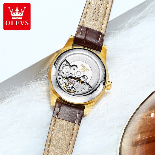 OLEVS Swiss Certified Brand Watch Women's Mechanical Watch Fully Automatic Simple Temperament Women's Watch Light Luxury Belt Style Women's Watch OLEVS-6629 Female-Brown Leather White Face