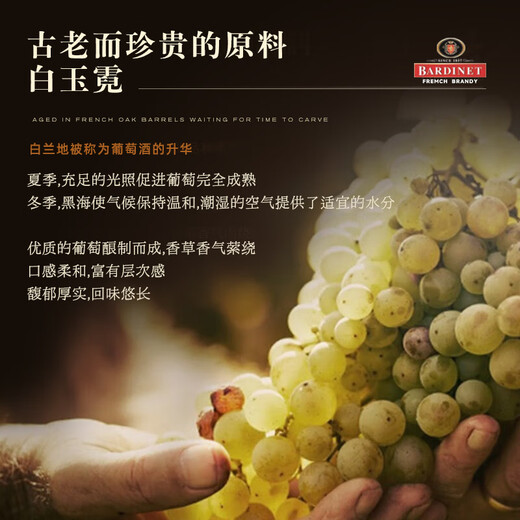 必得利（Bardinet） 法国进口洋酒 VSOP 白兰地 40度 1L 聚会礼物