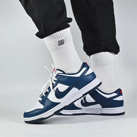 耐克（NIKE）休闲鞋男鞋2025夏季新款运动鞋Dunk Low低帮轻便板鞋DD1391-400 DD1391-400 39