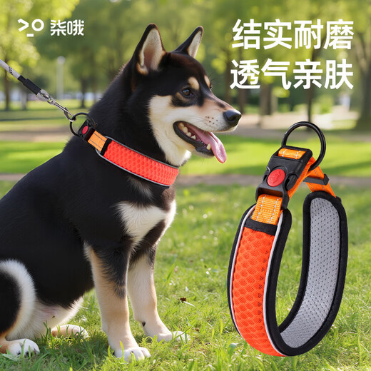 Dog collar neck set dog leash collar size medium dog walking rope leash pet dog collar blue collar XS neck circumference 28-30cm recommended 3-15Jin Jin equals 0.5 kg