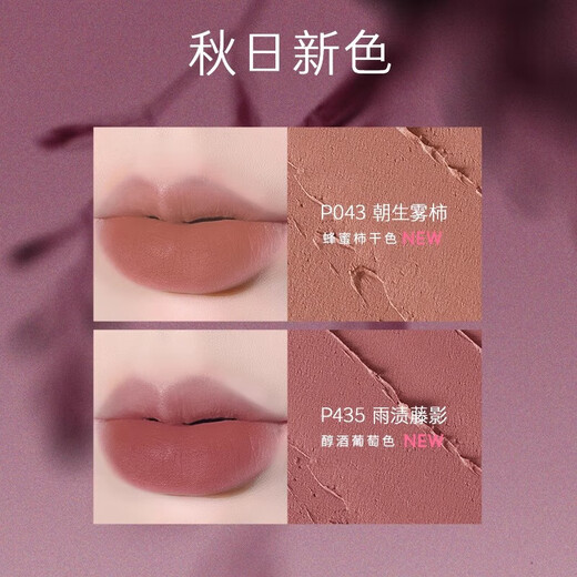 Mary DALGAR official store flagship Fang Dongjing Yingzi Mary DALGAR stone lip gloss lipstick lips mud red spirit v123v328v719 V719 Twilight maze mulberry red wine color