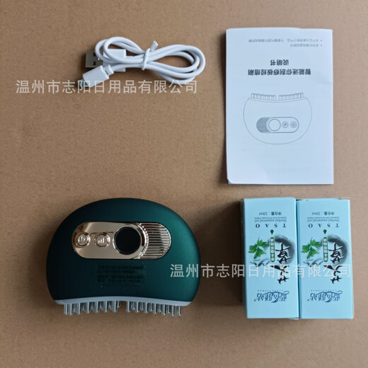 Smart Facial Bianstone Gua Sha Board Electric Facial Lifting Massage Beauty Microcurrent Introduction Instrument Tendon and Meridian Brush Bianstone Version White