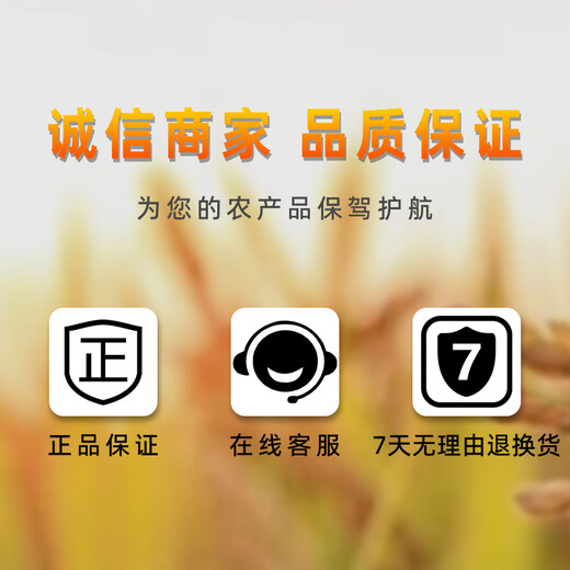 Lanyue Youjinlai 60% choline chloride sweet potato, potato, peanut, garlic rhizome expansion plant growth regulator 100ml