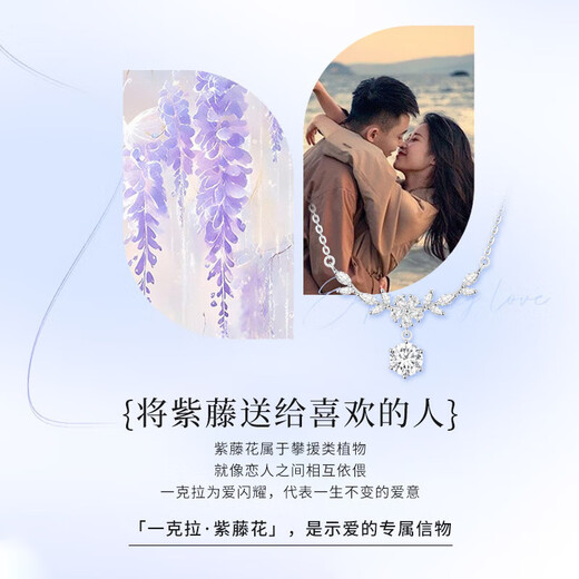 The only (Winy) one carat wisteria flower sterling silver necklace women's light luxury niche pendant birthday gift for girlfriend jewelry silver jewelry