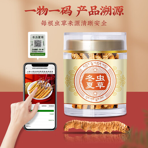 同芙 冬虫夏草断草10g约20根 全虫大号纯肉节 滋补营养补品自食性价比