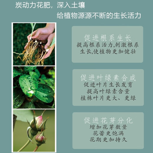 ZHENGGAO BIOMASS ENERGY carbon-powered carbon-based blended flower fertilizer for home potted flowers organic and inorganic controlled-release multi-effect disease resistance and stress-resistance synergistic carbon-powered fertilizer No. 1 universal type 1250g