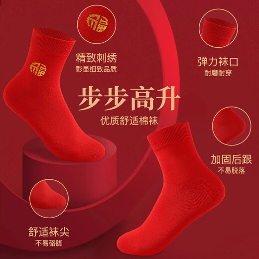 Cat Man Red Underwear Men's Zodiac Year Horse Year Men's Boxer Briefs Cotton Youth Antibacterial Boxer Briefs Red Socks Combination