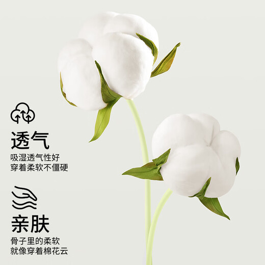 Duoduo Cotton One Piece Wireless Underwear Women's Category A 80 Count Xinjiang Cotton Small Breast Push Up Vest Bra L Size