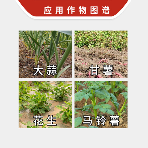 Lanyue Youjinlai 60 Choline Chloride Garlic Potato Peanut Rhizome Enlarger Pesticide Growth Regulator 100ml