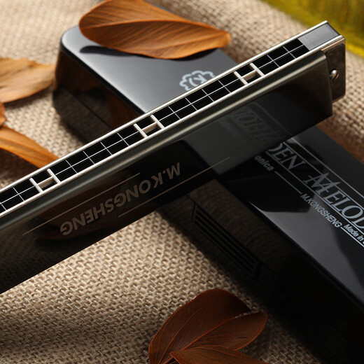 Hokong Harmonica 24-луночная полифоническая #A/B/C/D/E/F/G Harmonica Beginters 'Adult Professional Professional Уровень C Tune C Tune