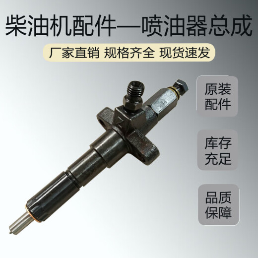 XMSJ195 1100 S1105 1110 ZS1115喷油嘴配件单缸柴油机喷油器总成 全新S195/1100涡流室油嘴总成