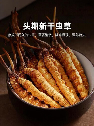 冬虫夏草 高海拔正品虫草 传统滋补品 送礼佳品 3根/克 共60根