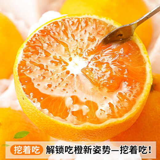 Jingdida Jelly Orange Sichuan Ehime No. 38 Jelly Orange Fresh Orange Fruit 9Jin Jin equals 0.5kg Single Fruit 70mm+ Straight from the Source