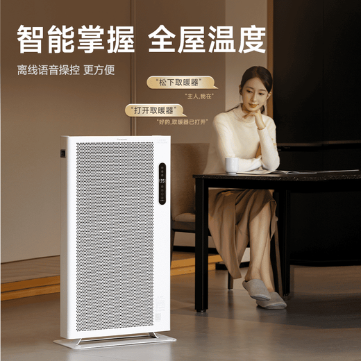 Panasonic graphene heater home heater whole house heating fast heating electric heating artifact European fast heating furnace large area whole house convection living room electric heater DS-A216ECW