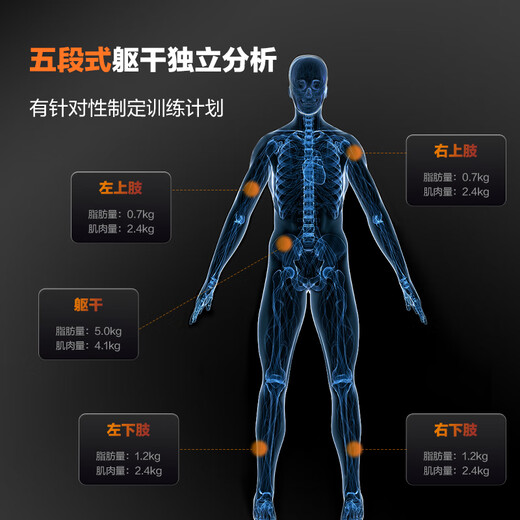 香山八电极智能体脂秤 人体秤体重秤健身精准 大彩屏显示 心率监测 双频躯干分段测量