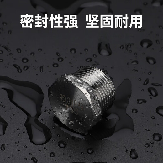 EX304 stainless steel solid external hexagon/explosion-proof plug/bulk plug plug DN15DN20/4 points/6 points M63*1.5
