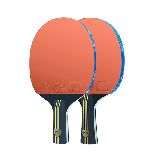 双鱼乒乓球拍初学者横拍豪华旗舰全能型反胶一对成品拍小学生儿童 初学入门横直对拍【推荐】 豪华套装【球拍+拍包+球】