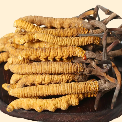 Beijing Tongrentang Quality Cordyceps Lhasa Shipping Authentic Cordyceps Gift Box Pack Broken Cordyceps Dry Gift Gift Gift Box Gift Gift Gift Gift Gift Gift Gift Gift Gift Gift Gifts 50g Selected Big Broken Cordyceps [Family Practical]