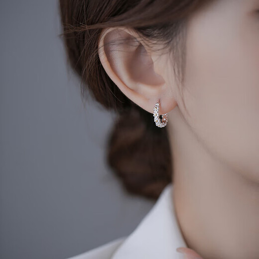 Crystal daisy silver earrings for women 2025 new earrings earrings earrings girls light luxury niche high-end gift